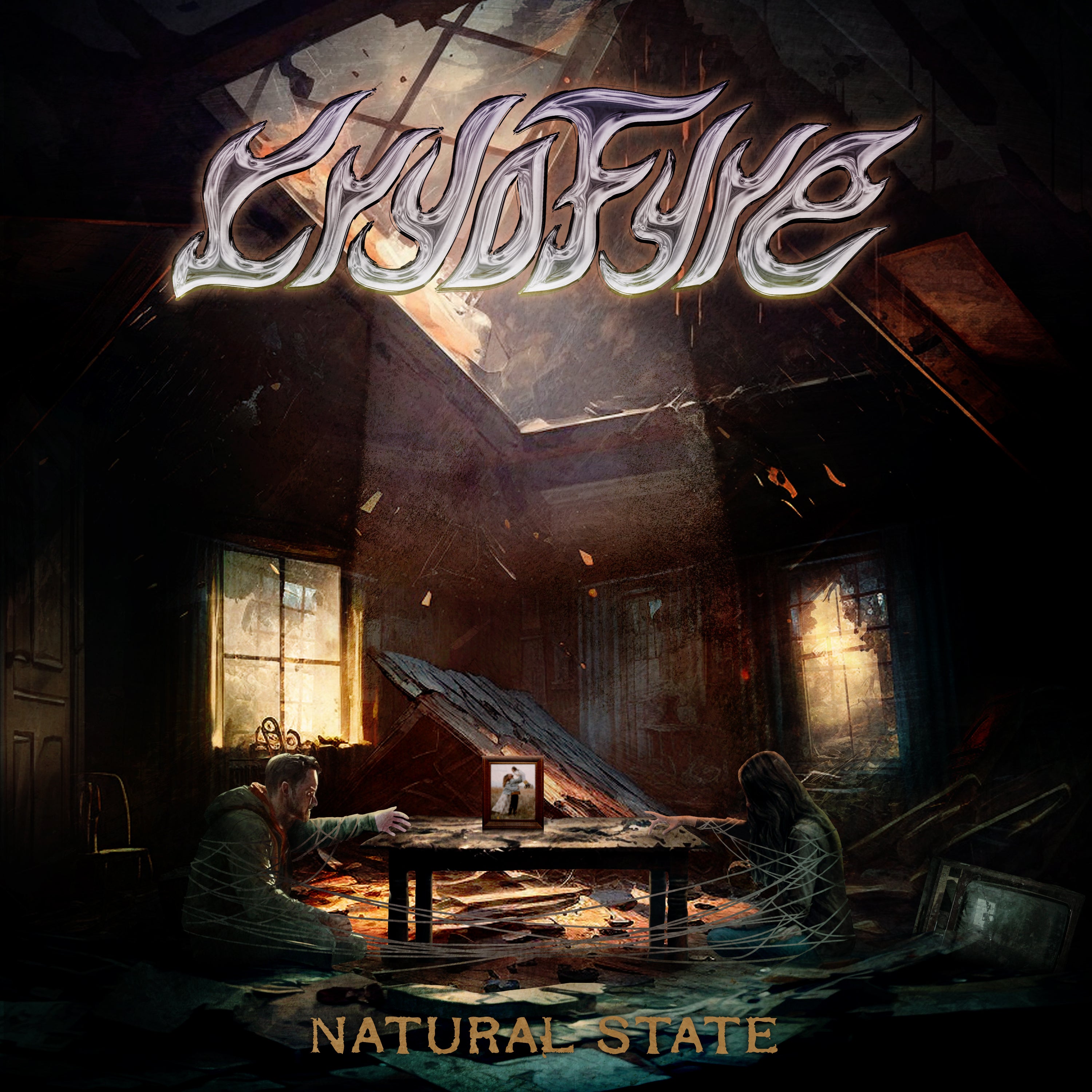 Natural State   Cover 2